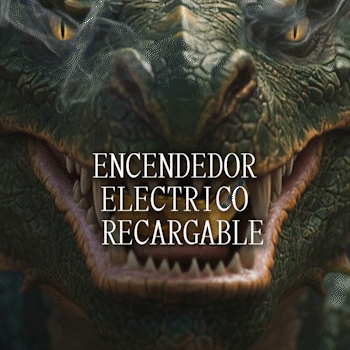ENCENDEDOR ELECTRICO RECARGABLE