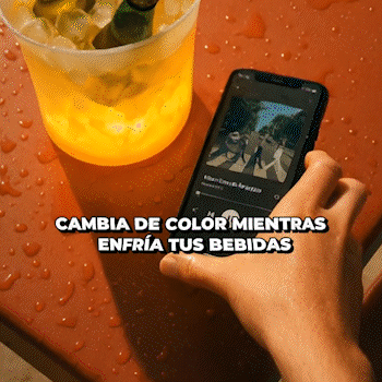 HIELERA CON PARLANTE